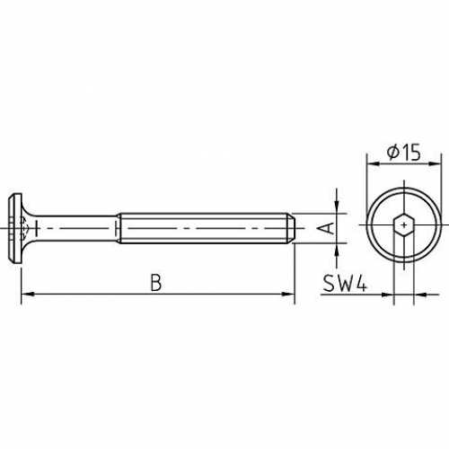 Flachkopfschrauben mit Innensechskant, M6 x 60 mm, VPE 100, vermessingt - Kopie